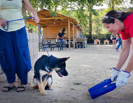 Hotel Residencia Canina Y Felina En Girona Can Planet